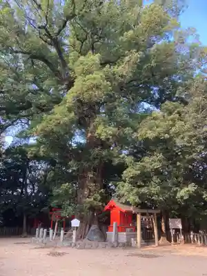 一宮神社の自然