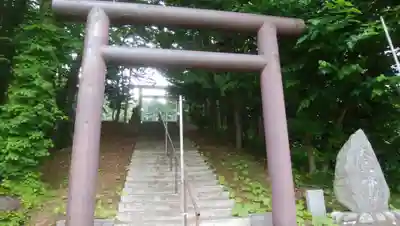大鳥神社の鳥居