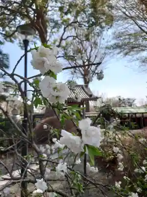 盛岩寺(神奈川県)