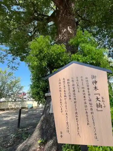 龍泉寺（足利厄除大師）(栃木県)