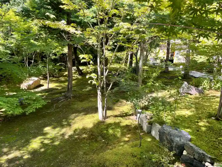 勝林寺(京都府)