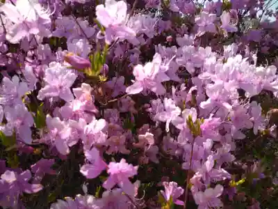 牛窓神社(岡山県)