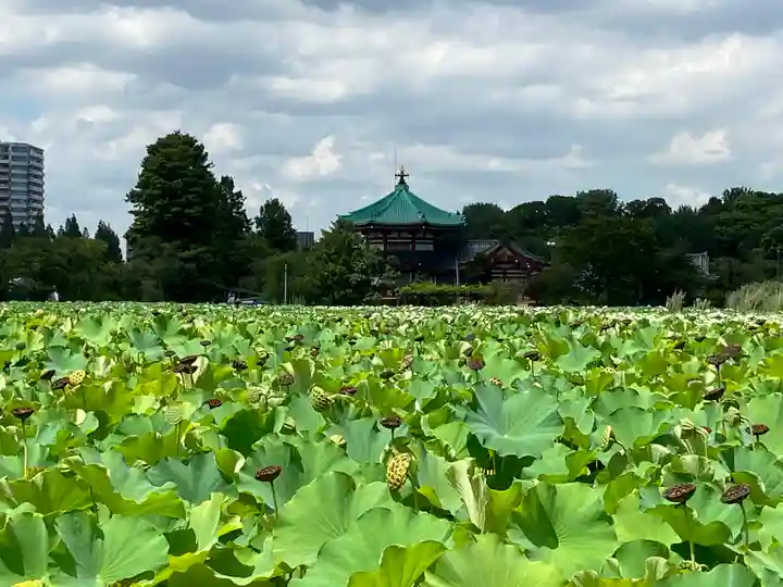 寛永寺(根本中堂)(東京都)