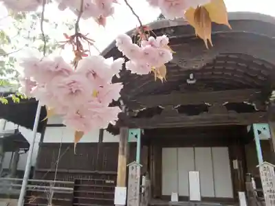 村雲御所瑞龍寺門跡(滋賀県)