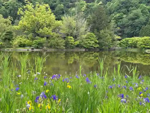 白水阿弥陀堂の庭園
