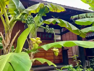 洞雲寺(東京都)