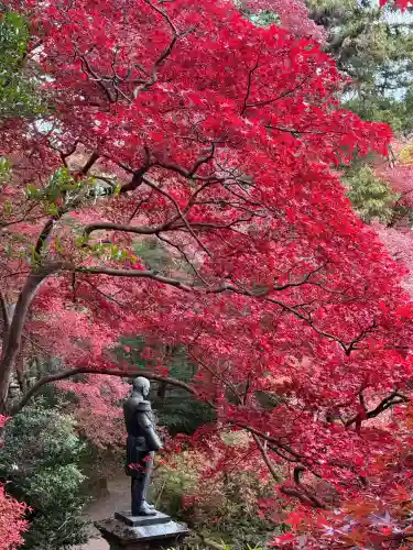 秩父御嶽神社(埼玉県)