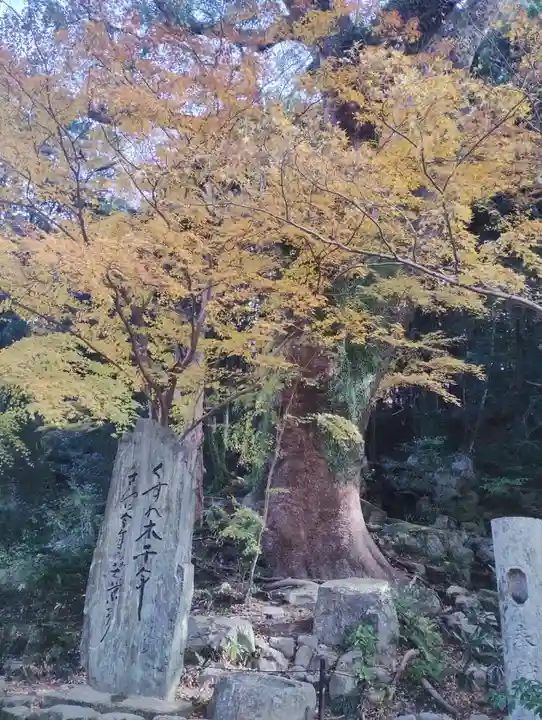 太宰府天満宮の自然