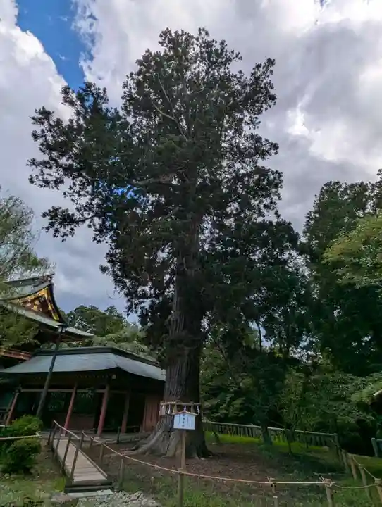志波彦神社・鹽竈神社(宮城県)