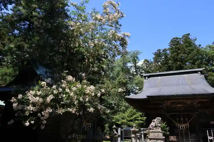 田村神社の景色