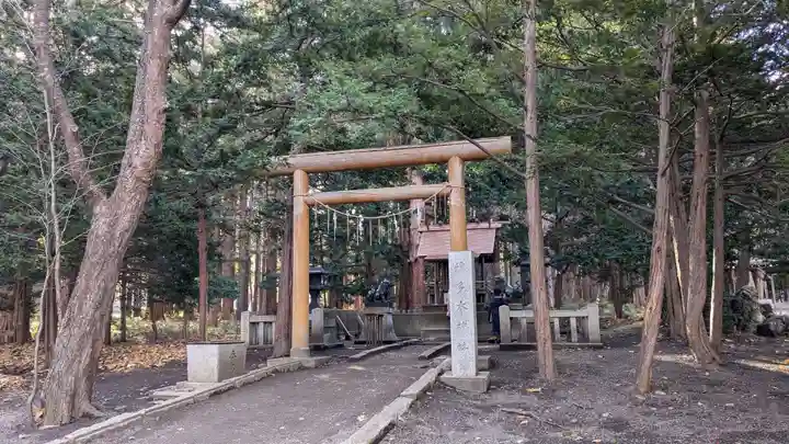 北海道神宮の鳥居