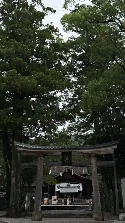 土佐神社(高知県)