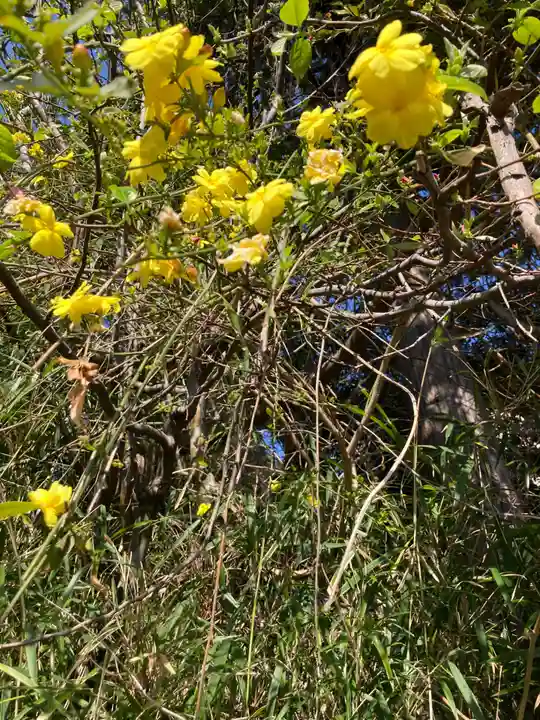 厳島神社(神奈川県)