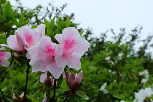 屋島寺(香川県)