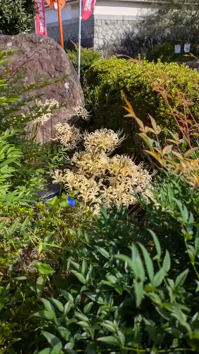 和泉寺(京都府)