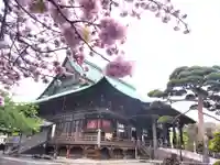 護国寺の本殿・本堂