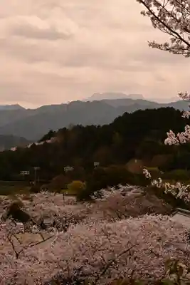 久妙寺(愛媛県)