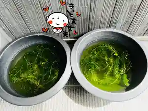 松本山 地福禅寺(滋賀県)(2023年09月08日(金) 21時48分23秒投稿)