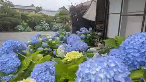 宗心寺(静岡県)(2026年05月28日(木) 12時54分38秒投稿)