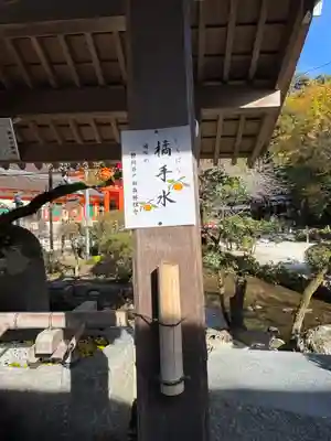 賀茂別雷神社（上賀茂神社）(京都府)