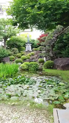 感通寺の庭園