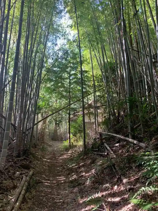 熊野神社(千葉県)