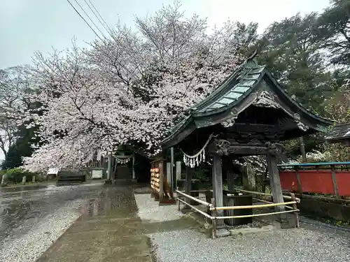 前玉神社(埼玉県)