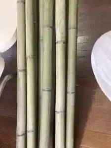 總社 和田八幡宮(福井県)(2022年07月12日(火) 17時38分05秒投稿)