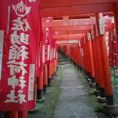 佐助稲荷神社の鳥居