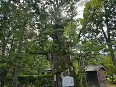 智恩寺(京都府)