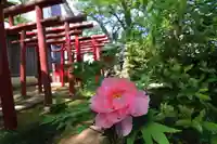 愛宕神社の庭園