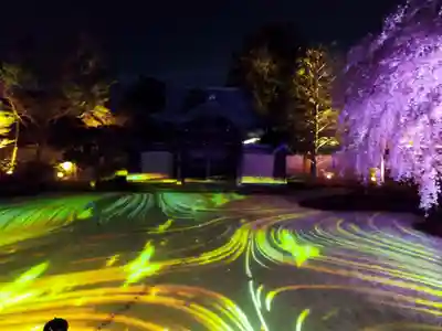 高台寺（高台寿聖禅寺・高臺寺）(京都府)