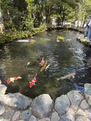 伊勢神宮内宮（皇大神宮）の{uncategorized: "未分類", other: "その他", undefined: "問題あり", building: "その他建物", grave: "お墓", sacred_gate: "鳥居", guardian: "狛犬", statue: "像", buddha: "仏像", history: "歴史", nature: "自然", garden: "庭園", animal: "動物", pagoda: "塔", temizu: "手水舎", mountain_gate: "山門・神門", sanctuary: "本殿・本堂", subordinate: "末社・摂社", art: "芸術", scenery: "景色", jizo: "地蔵", ema: "絵馬", goshuin: "御朱印", omikuji: "おみくじ", items: "授与品その他", amulet: "お守り", goshuincho: "御朱印帳", eats: "食事", festival: "お祭り", votive_dance: "神楽", shichigosan: "七五三参", wedding: "結婚式", experience: "体験その他", initially: "初詣", around: "周辺", anti_infection: "感染症対策"}