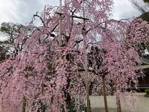 大國魂神社の自然