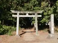 熊野大神社の鳥居