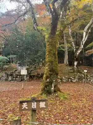 高源寺(兵庫県)