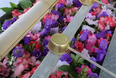 豊景神社の手水舎