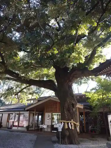 座間神社の自然