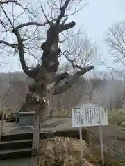 那須温泉神社の自然