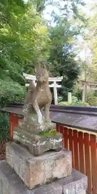 竹中稲荷神社(吉田神社末社)の狛犬