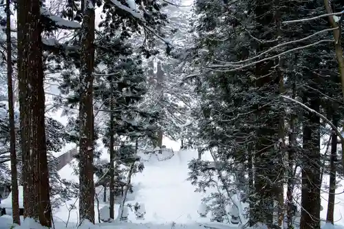 戸隠神社中社の周辺