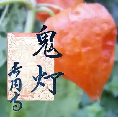 長円寺(京都府)