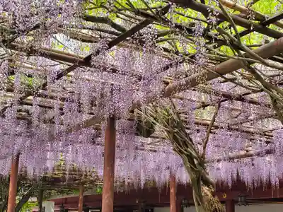 笠間稲荷神社(茨城県)