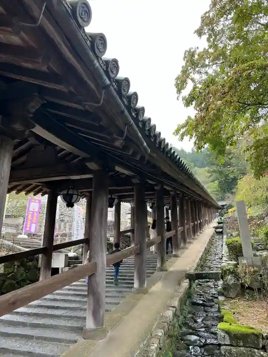 長谷寺(奈良県)