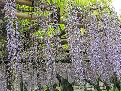 平等院(京都府)