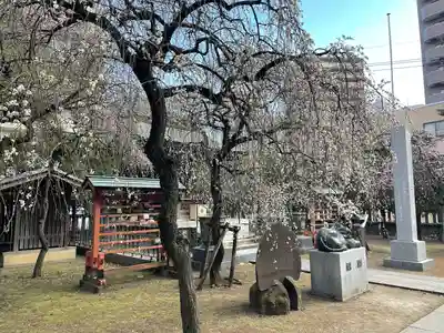 川口神社(埼玉県)