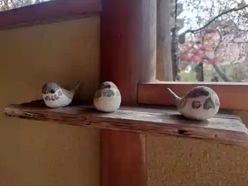 常泉寺(神奈川県)