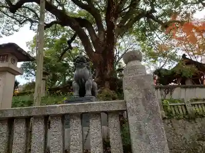 金刀比羅宮(香川県)