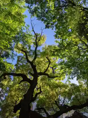 神明社(愛知県)