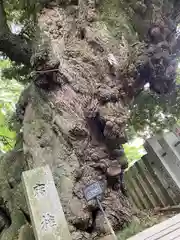 楽法寺（雨引観音）(茨城県)